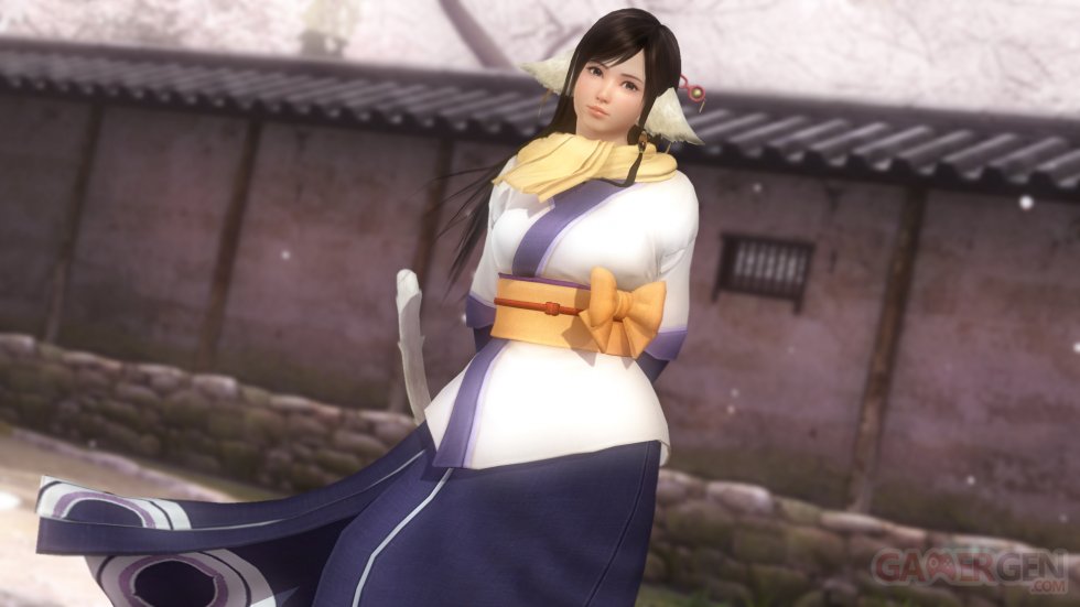 Dead or Alive 5 Last Round images (6)