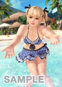 Dead or Alive Xtreme 3  (10)