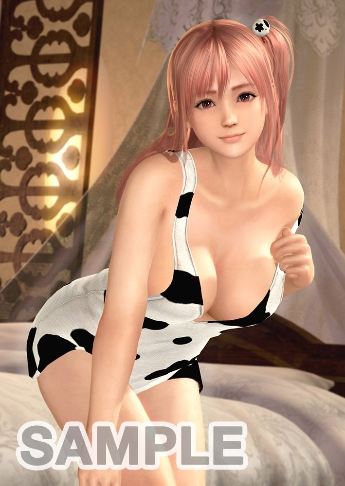 Dead or Alive Xtreme 3  (11)