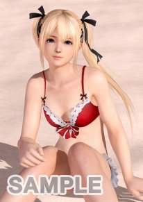 Dead or Alive Xtreme 3  (13)
