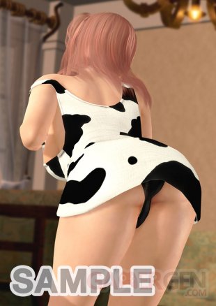 Dead or Alive Xtreme 3  (14)