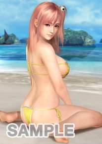 Dead or Alive Xtreme 3  (15)