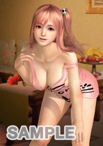 Dead or Alive Xtreme 3  (16)