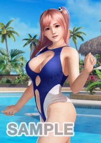 Dead or Alive Xtreme 3  (18)