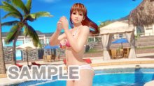 Dead or Alive Xtreme 3  (6)