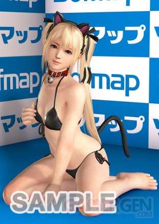 Dead or Alive Xtreme 3  (8)