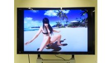 Dead or Alive Xtreme 3 Experience VR photo (7)