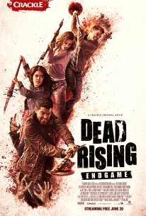 Dead Rising Endgame poster