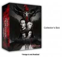 Deadly Premonition The Director s Cut collector 4