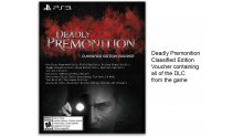 Deadly Premonition The Director s Cut collector 6