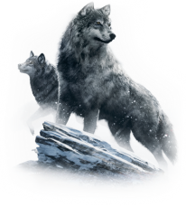 destiny seigneurs de fer loups