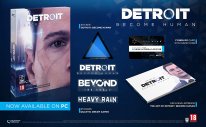 Detroit Become Human PC