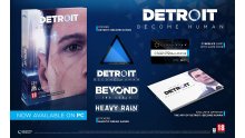 Detroit Become Human PC