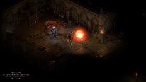Diablo II Resurrected (13)