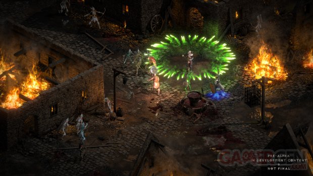 Diablo II Resurrected (14)