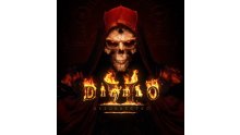 Diablo II Resurrected Logo Header Jaquette Cover