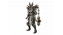 Diablo III Eternal Collection  edition version Switch images (3)