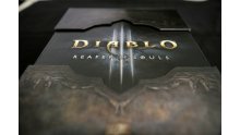 Diablo-III-Reaper-of-Souls-unboxing-0005