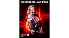 Diamond-Dallas-Page