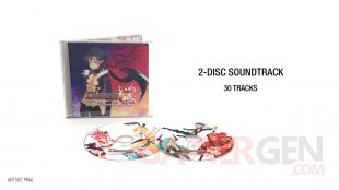 Disgaea 5 collector (1)