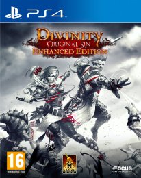 Divinity Original Sin Enhanced Edition jaquette PS4