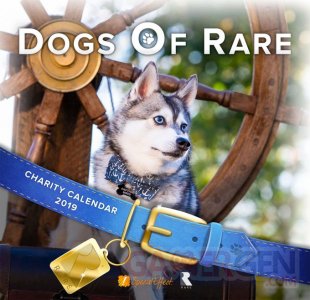 Dogs of Rare 1