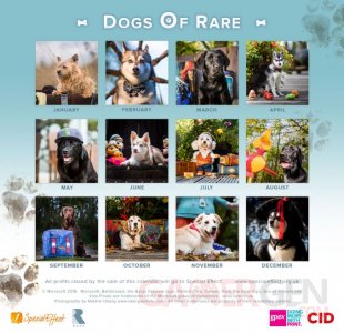 Dogs of Rare 4