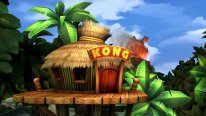 Donkey Kong Country Returns HD 21 12 12 2024