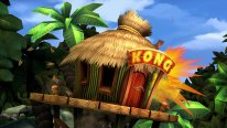 Donkey Kong Country Returns HD 22 12 12 2024