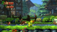 Donkey Kong Country Tropical Freeze 21.01.2014  (13)