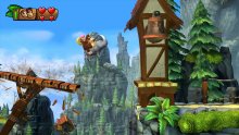 Donkey Kong Country Tropical Freeze 21.01.2014  (15)