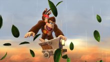 Donkey Kong Country Tropical Freeze 21.01.2014  (9)