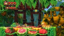 Donkey Kong Country Tropical Freeze images (11)