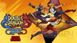 Double Dragon Gaiden Rise of the Dragons   Sacred Reunion (1)