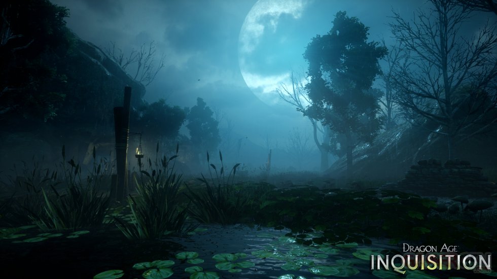 Dragon Age Inquisition 13.08.2014  (4)