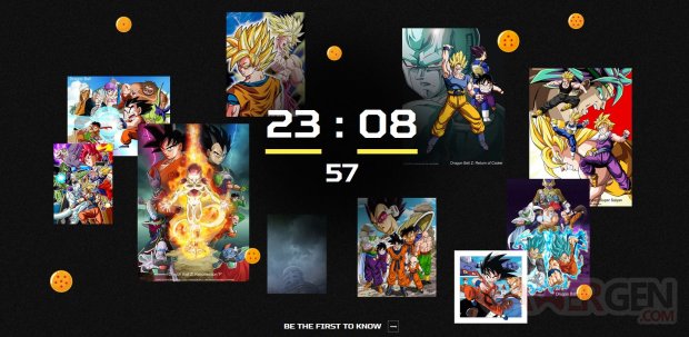 Dragon Ball Project image