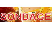 Dragon Ball Z Kakarot sondage communaute note images (2)