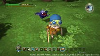 Dragon Quest Builders 21 10 2015 screenshot 10