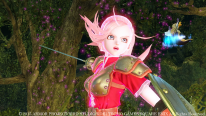 Dragon Quest Heroes (11)