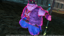 Dragon Quest Heroes (16)