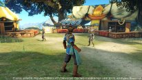 Dragon Quest Heroes 24 12 2014 screenshot 2