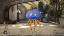 Dragon Quest Heroes (8)