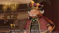 Dragon Quest Heroes II 09 02 2016 screenshot (6)