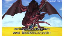 Dragon Quest VIII  L'Odyssée du Roi Maudit  (10)