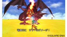 Dragon Quest VIII  L'Odyssée du Roi Maudit  (11)