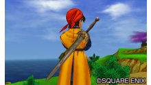 Dragon Quest VIII  L'Odyssée du Roi Maudit  (2)