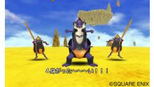 Dragon Quest VIII  L'Odyssée du Roi Maudit  (6)