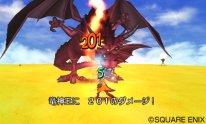 Dragon Quest VIII  L'Odyssée du Roi Maudit  (11)