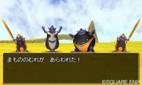 Dragon Quest VIII  L'Odyssée du Roi Maudit  (5)