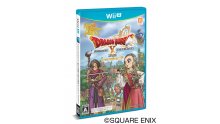 Dragon Quest X Nemureru Yuusha to Michibiki no Meiyuu Online jap 03.12 (1)